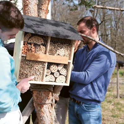 IWB Lernende helfen beim Bau von Bienenhotels
