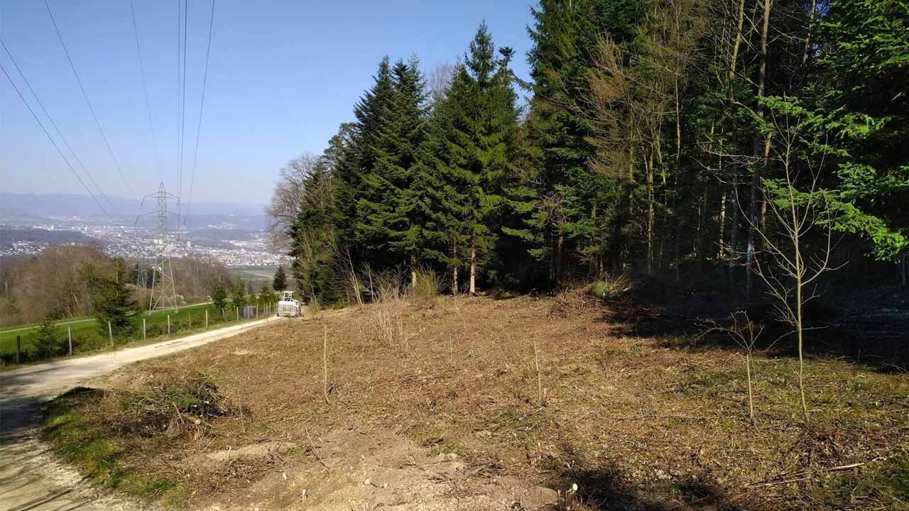 Blick über eine Wiese mit Sträuchern, über die eine Stromleitung verläuft. Im Hintergrund eine Stadt.