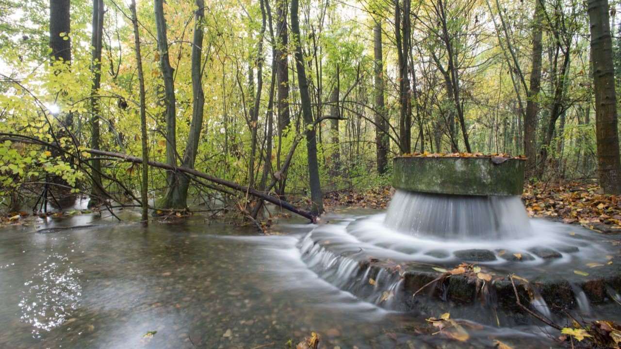 IWB versorgt rund 210'000 Menschen in Basel und Umgebung mit hochwertigem Trinkwasser. Dieses wird durch eine naturnahe Grundwasseranreicherung gewonnen: Rheinwasser wird vorgereinigt, über Sandfilter geleitet und in bewaldeten Wässerstellen versickert, wodurch es auf natürliche Weise gereinigt wird, bevor es als Trinkwasser zu den Kundinnen und Kunden gelangt.