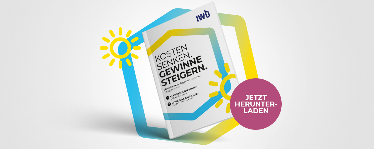 Bild des IWB Whitepaper zu Wirtschaftlichkeit nachhaltiger Areale