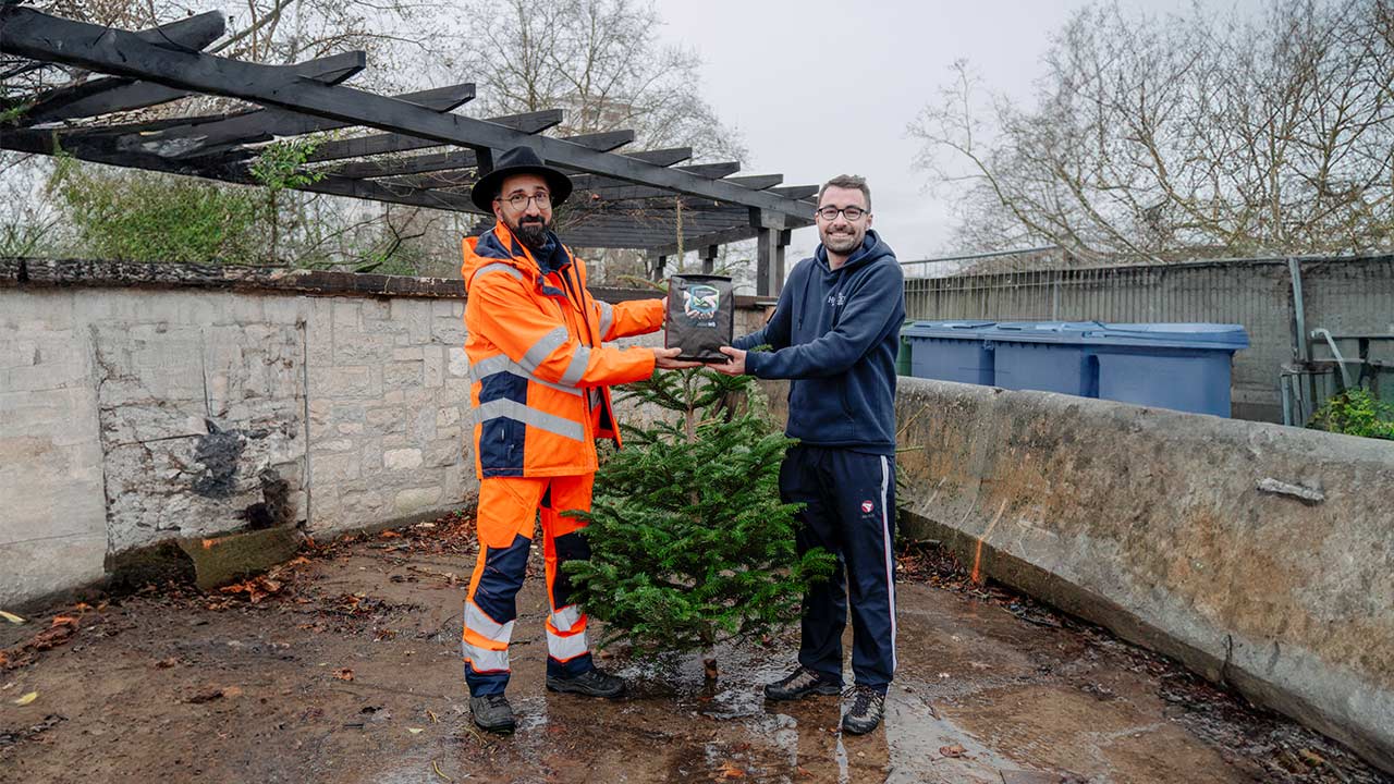 Zwei Männer halten einen Tannenbaum
