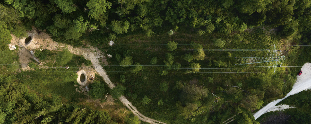 Eine Freileitung von oben aus der Luft fotografiert. Darunter sind Bäume, Sträuche und Gebüsche.