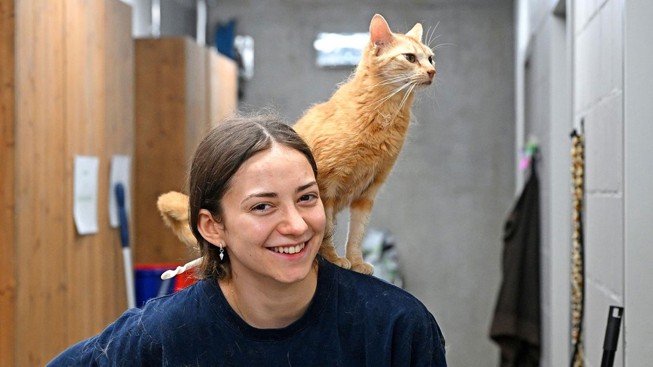 Eine Mitarbeiterin des Tierheims an der Birs steht in einem Flur. Auf ihrer Schulter sitzt eine orangefarbene Katze und blickt aufmerksam zur Seite. 