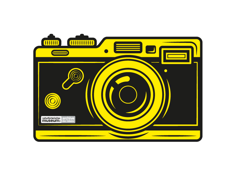 Bild einer Analogen Kamera von vorne, in pink und schwarz