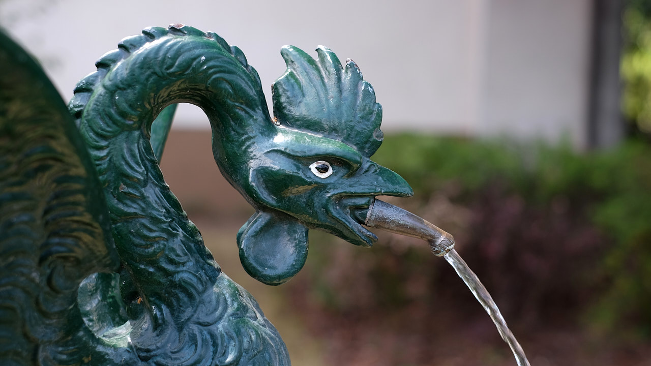 Nahaufnahme eines Basiliskenbrunnens in Basel